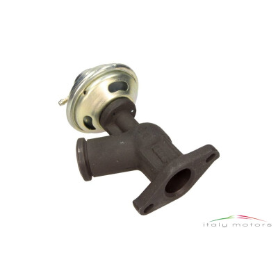 Original Fiat Lancia Citroen Peugeot AGR Ventil...