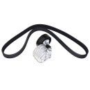 Original DAYCO MICRO-V-KEILRIPPENRIEMEN IVECO DAILY...