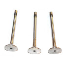 Original FRECCIA MOTORVENTIL FIAT BRAVA/BRAVO 95>...