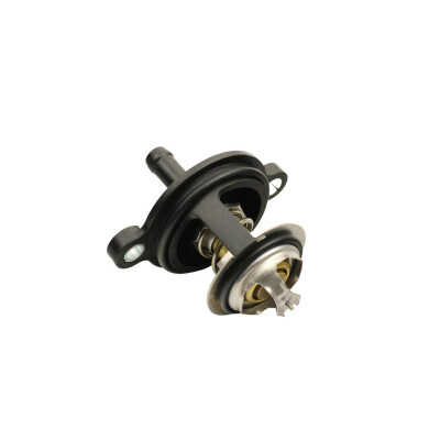 Original FAST THERMOSTAT FORD TRANSIT CONNECT 13> KFZ Ersatzteil FT58038