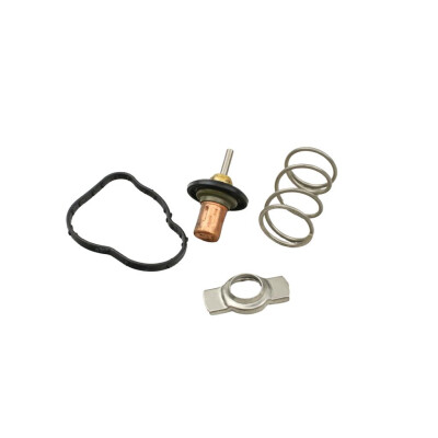 Original FAST THERMOSTAT RENAULT KANGOO II 08> 1.5 dCi 110 13> KFZ Ersatzteil FT58042