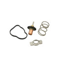 Original FAST THERMOSTAT RENAULT KANGOO II 08> 1.5 dCi...
