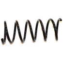 Original FAST AUFHÄNGUNGSFEDER FIAT PANDA 03>...