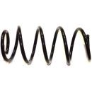 Original FAST AUFHÄNGUNGSFEDER FIAT PUNTO GRANDE...