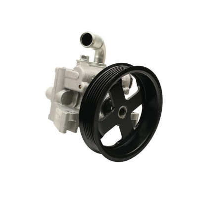 Original FAST SERVOPUMPE FORD TRANSIT CONNECT 02> MIT RAD 1.8 TDCI 6PK120 KFZ Ersatzteil FT36239