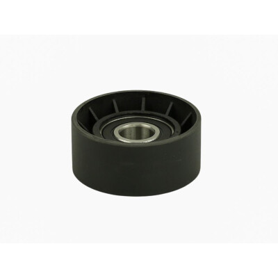 Original FAST MICRO-V-RIEMENSPANNER RENAULT MASTER III 10> ROLLE 2.3 dCi 125 FWD 11> KFZ Ersatzteil FT44668