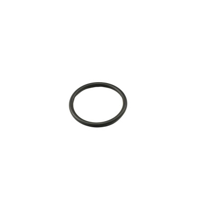 Original FAST O-RING FORD TRANSIT 06> STUTZEN 2.2 / 2.4 /3.2 TDCI  13> 2.2 TDCI KFZ Ersatzteil FT49917