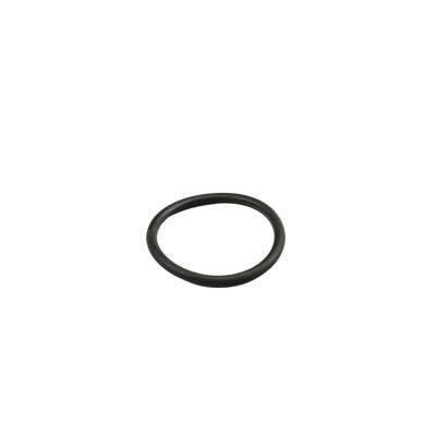 Original FAST O-RING MERCEDES SPRINTER 18> 907/910 KÜHLER 36.3MM KFZ Ersatzteil FT49919