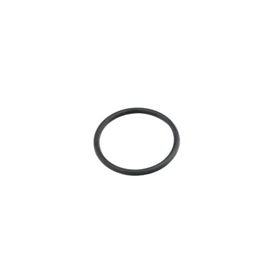 Original FAST O-RING FORD TRANSIT 06> WASSERPUMPEN KFZ Ersatzteil FT49920