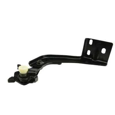 Original FAST TÜRFÜHRUNG FIAT DUCATO 14> SEITE UNTEN R KFZ Ersatzteil FT95697
