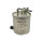 Original FAST KRAFTSTOFFFILTER NISSAN CABSTAR 06> 2.5 DCI KFZ Ersatzteil FT39119