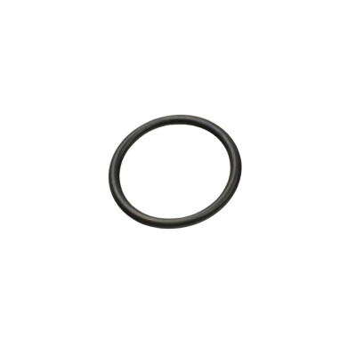 Original FAST O-RING FIAT DUCATO 06> THERMOSTATGEHÄUSE 2.2 HDI KFZ Ersatzteil FT49927