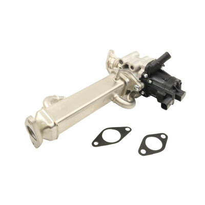 Original FAST AGR-VENTIL FIAT DUCATO 06> KOMPL. KPL 2.3JTD EURO 5 KFZ Ersatzteil FT60250