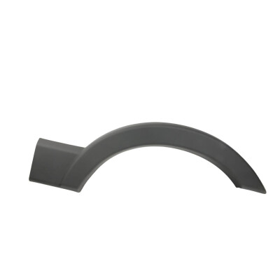 Original FAST LEISTE AUßENLIEGEND RENAULT MASTER III 10> SEITLICH ÜBER DEM RAD HINTEN R MEDIUM/LONG KFZ Ersatzteil FT90983G