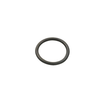 Original FAST O-RING CITROEN JUMPER 06> WASSERPUMPEN 2.2 HDI KFZ Ersatzteil FT49934