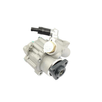 Original FAST SERVOPUMPE VW TRANSPORTER T5 03> OHNE RAD BEZ KO?A KFZ Ersatzteil FT36258