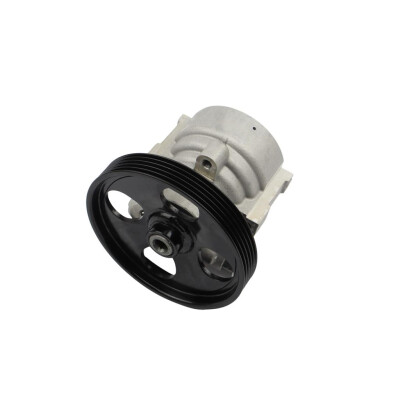 Original FAST SERVOPUMPE RENAULT MASTER II 98> MIT RAD 125MM 5PK KFZ Ersatzteil FT36256
