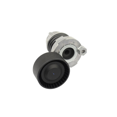 Original FAST MICRO-V-RIEMENSPANNER RENAULT KANGOO II 08> KOMPL. 1.2 TCE KFZ Ersatzteil FT10429