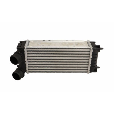 Original FAST LADELUFTKÜHLER CITROEN BERLINGO 08> 1.6 HDI KFZ Ersatzteil FT10920