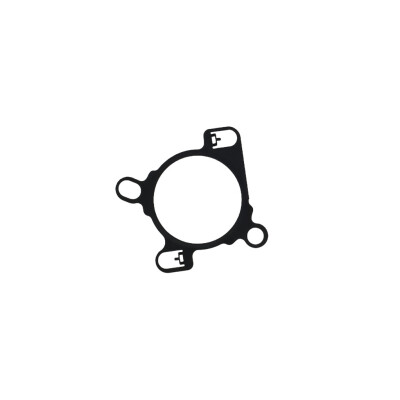 Original FAST AGR-VENTILDICHTUNG RENAULT MASTER III 10> KFZ Ersatzteil FT12469