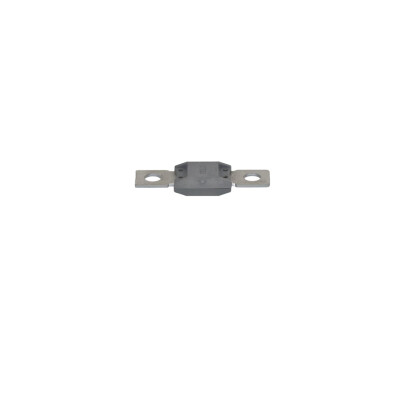 Original FAST SICHERUNG RENAULT MASTER III 10> CAL1 MTA KFZ Ersatzteil FT04583