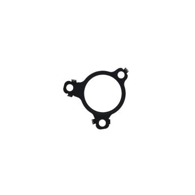 Original FAST AGR-VENTILDICHTUNG RENAULT KANGOO III 21> KFZ Ersatzteil FT12470