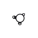 Original FAST AGR-VENTILDICHTUNG RENAULT KANGOO III...