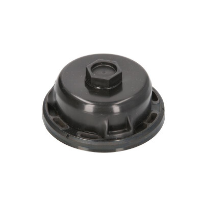 Wellendichtring Kurbelwelle vorne 50x81 Fiat Nissan Opel Renault Mercedes 260320