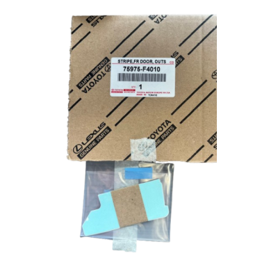 Original Toyota Zier Tür Schutzleisten Türverkleidung vorne rechts 75975F4010